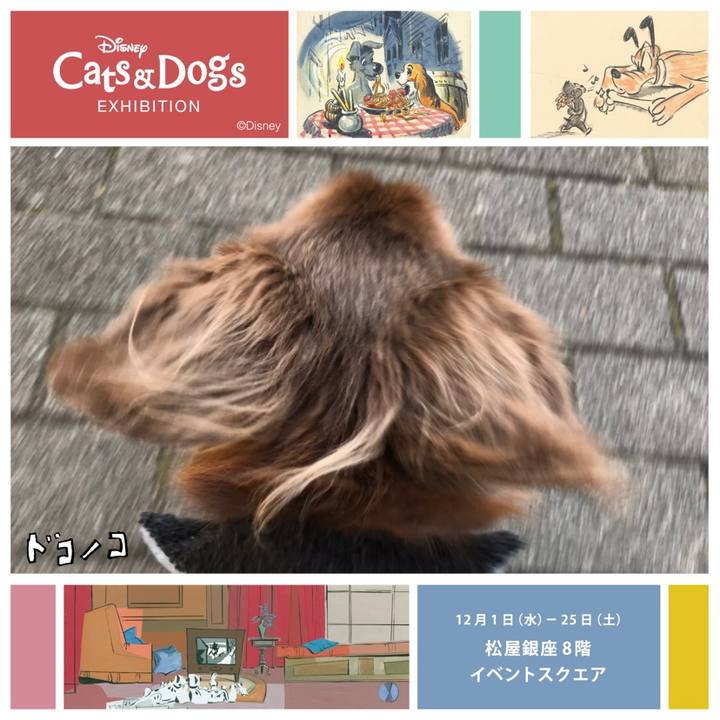 59c7d0d1 faf6 4991 b23d f3893fa198ba 1638832164191