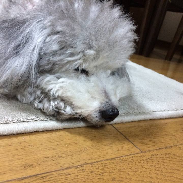 59c7e2a6 3d90 4dde b724 1dffb9ddff3d 1512826721691