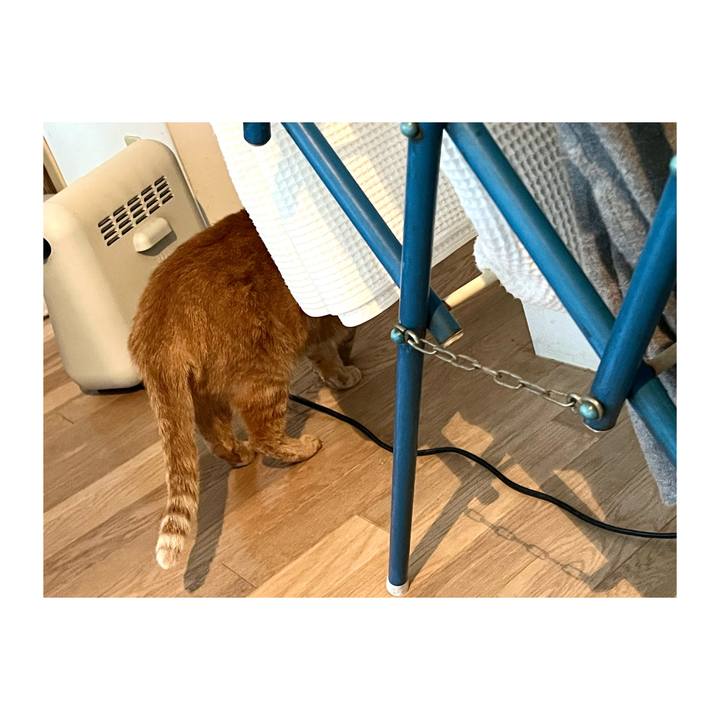 59c81eab 7c6e 4058 a19b 44a0ad1a49f5 1671175754364