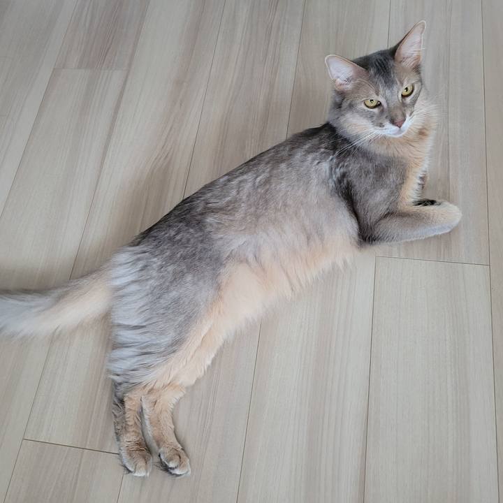 59c85337 1b3a 4a76 aea9 4b8c4242397b 1651727541798