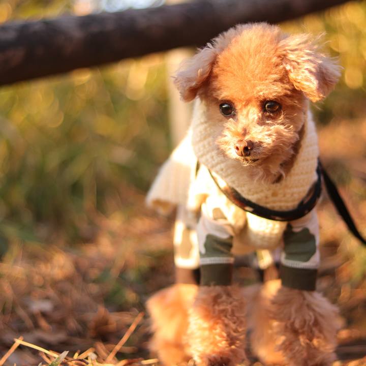 59c8766a d3b6 4120 8fb8 35144a6b208a 1667726056848