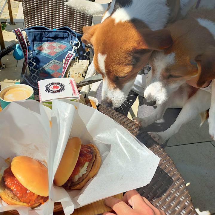 59c89da3 4f3a 44c5 845f dace704b6faa 1774684299287