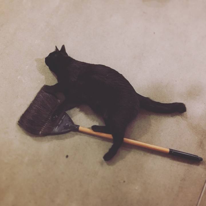 59c8b759 8f6c 44a0 afea 5046121bc395 1512401031005