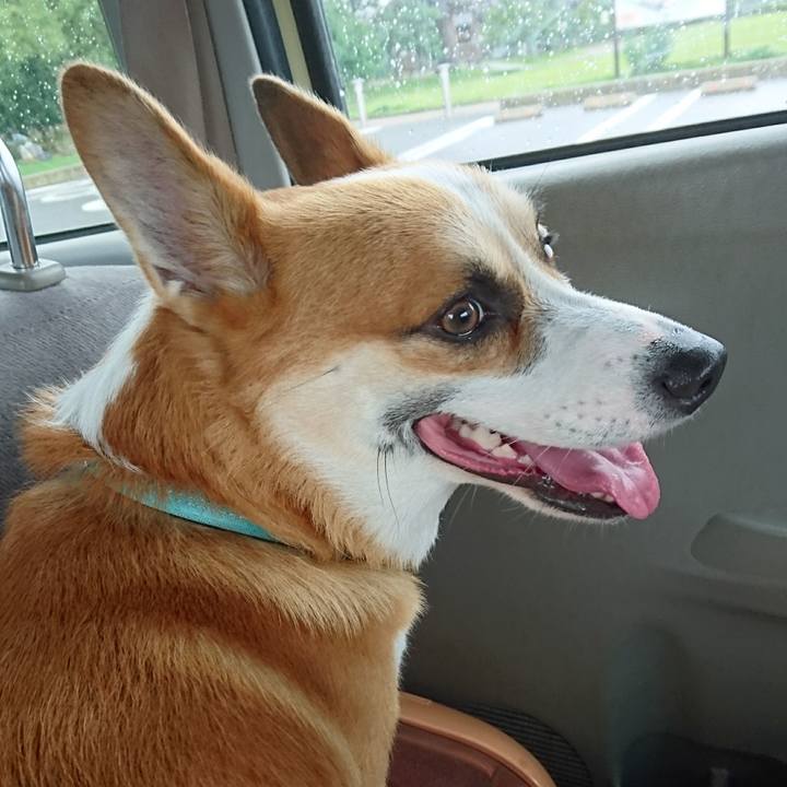 59c8c431 d34f 4f69 af7f de97d52c83d0 1594078531810