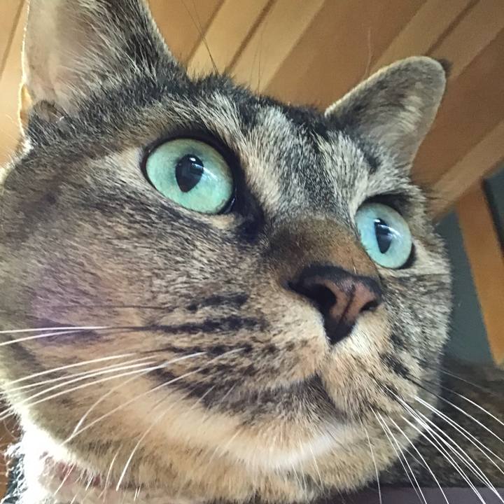 59c909f7 bfe9 4cc1 b1a7 0c2c857c5c59 1721210105992