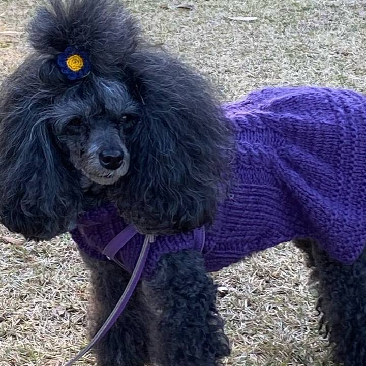 59c945dd 8f0d 445e 937d e724bfce5a54 1732688945933