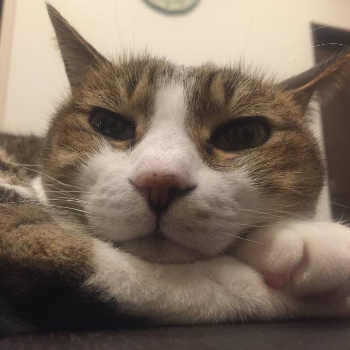 59c9978b da35 4ff2 850d 43691b3e892b 1514651300762