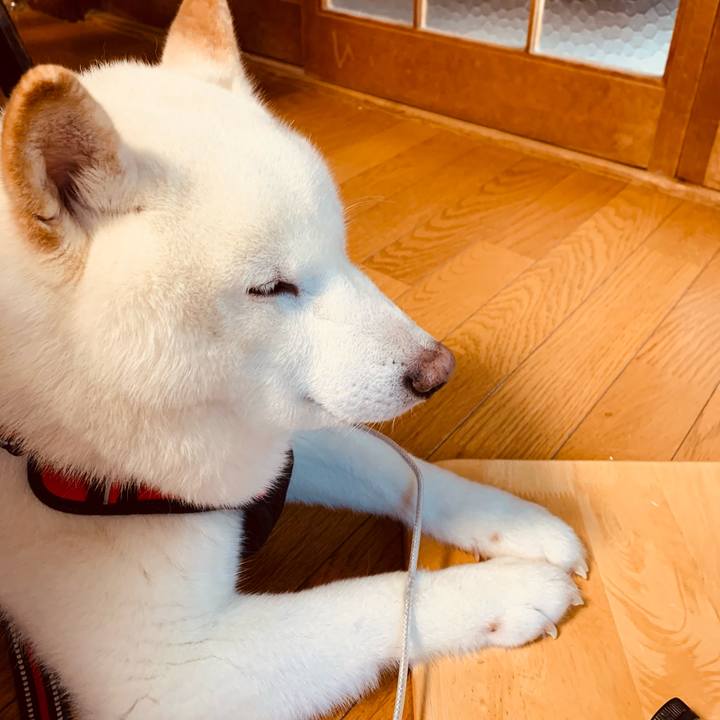 59c9b9bd b81e 401d 91e6 59189d980f9a 1610843418132