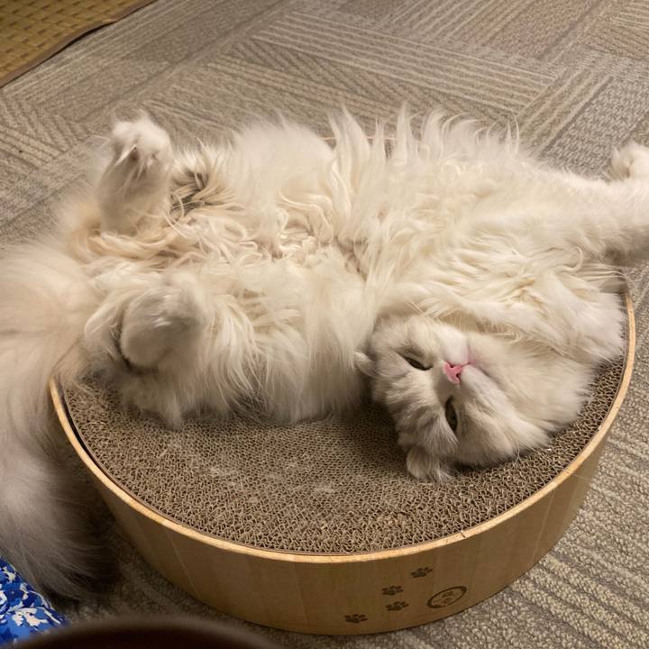 59c9ba6a 92ea 43e3 8d8f 170d13809b01 1740432600070