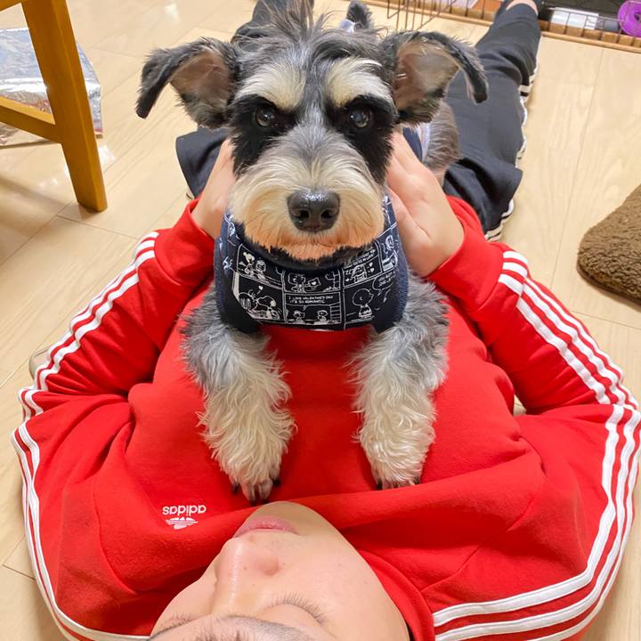 59c9df74 1caa 41ed b73d 9057f1b5d6d1 1609586762992