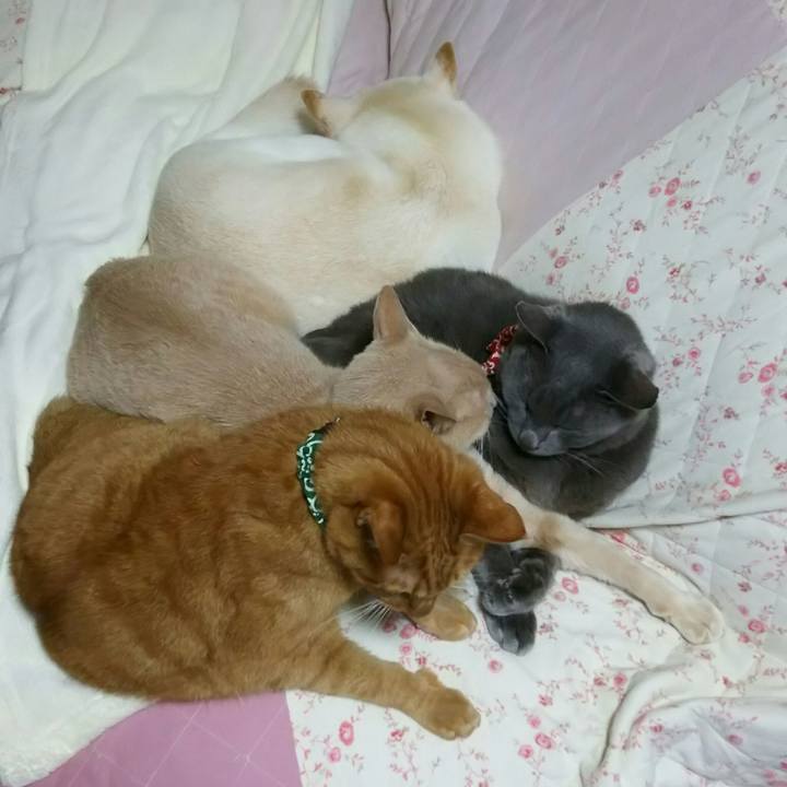 59c9ebce ce66 4947 b2a4 705fe474f04e 1542889889953