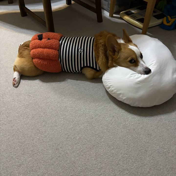 59c9fd4c 2657 401e bf89 9760d75b63cd 1761484503841