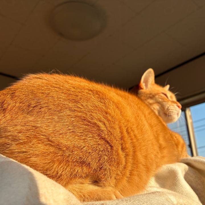 59ca12e3 60cf 4115 9d28 70307a9632dd 1747773927424