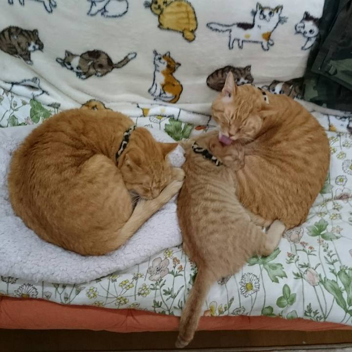 59ca5a23 9bbd 44b1 a3d1 6c7f98e81728 1542872259995