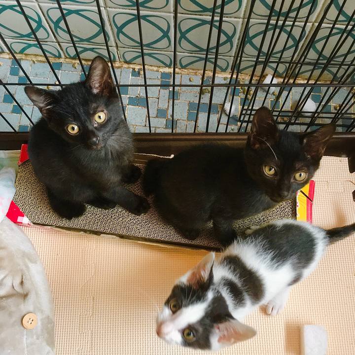 59ca69e5 f259 43a7 85ef 845effc8ef18 1626687775001