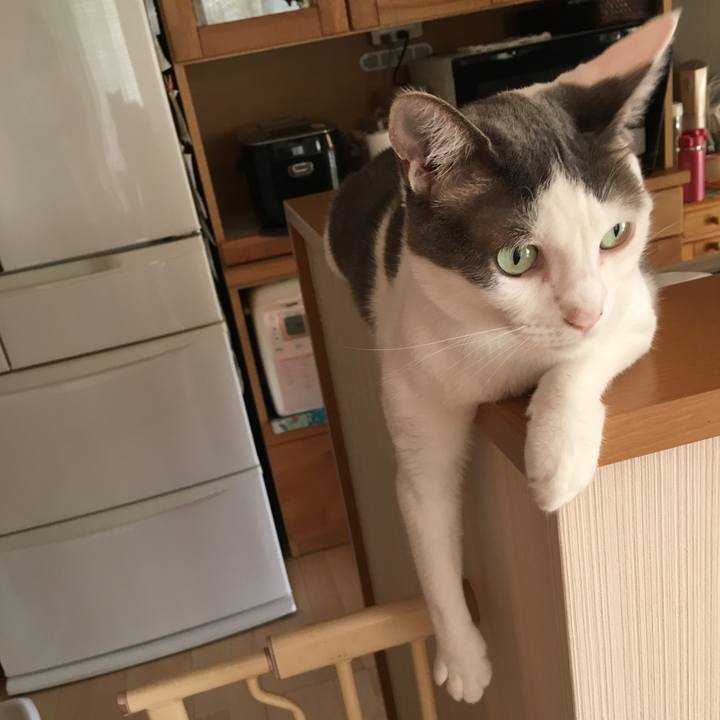 59caa73f 266a 4007 b080 d86af024a86f 1534044970995