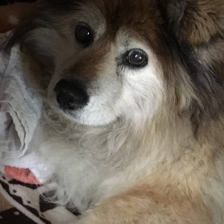 59cab454 1508 4d28 a1df 4d913e403fd2 1654514624204