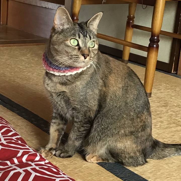 59cac04e 29b3 405c 8e39 07da669b4419 1617345296765