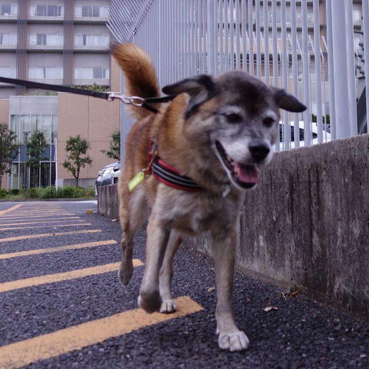 59cadc66 ae7d 43e5 8cbd 510425515635 1569713787882