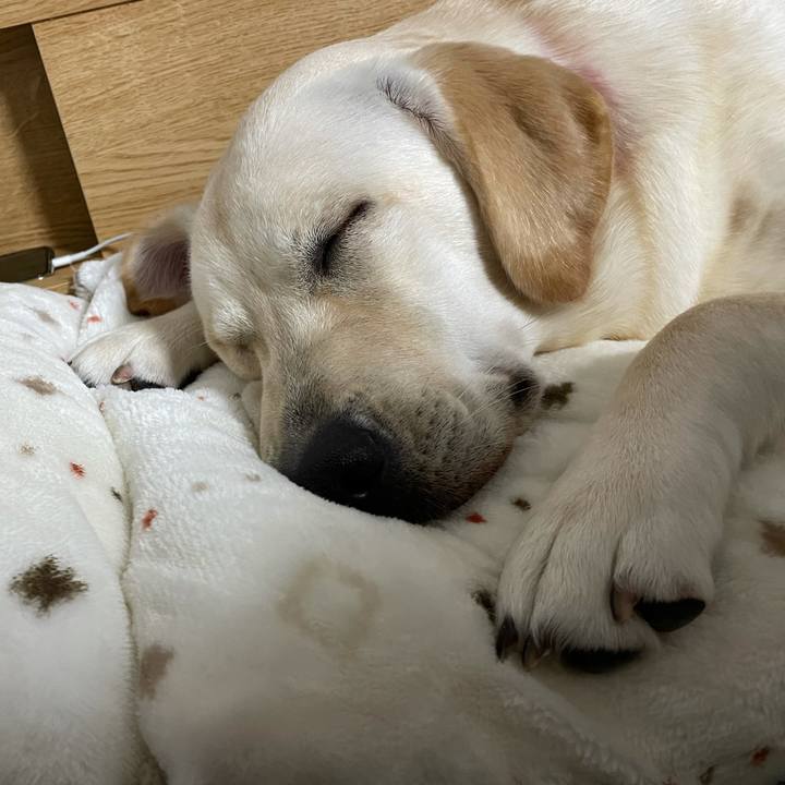 59caf58e b77b 4353 b811 826ee4ffa5b3 1634651211594