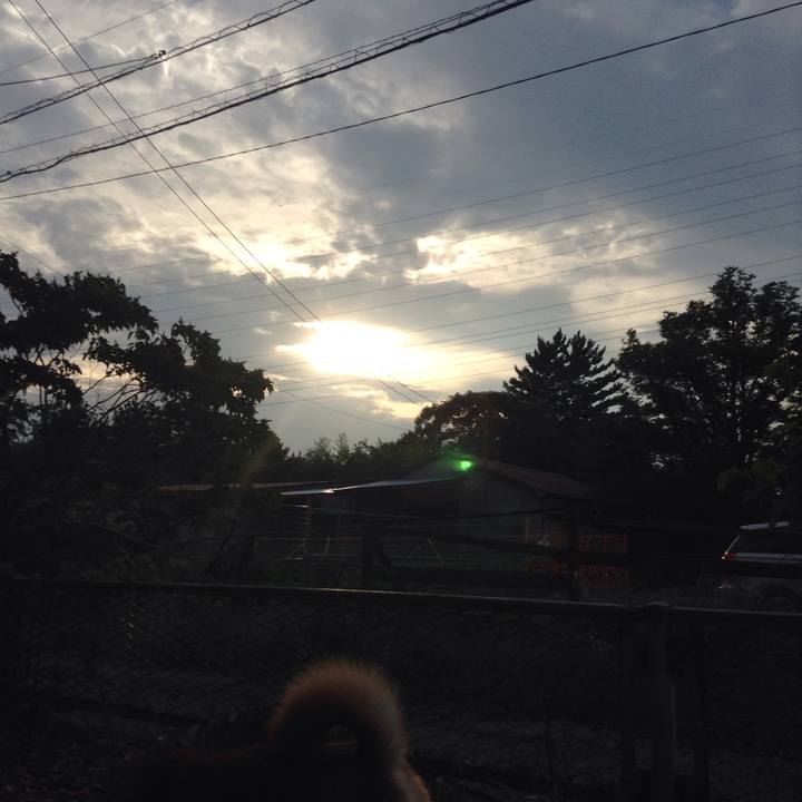 59caf8af b216 4144 b9d9 8f5c631955ff 1531300694968