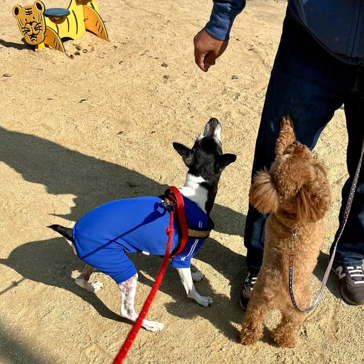 59cb1e3a 61d0 49c4 88f8 7b17f277e48a 1649556961490