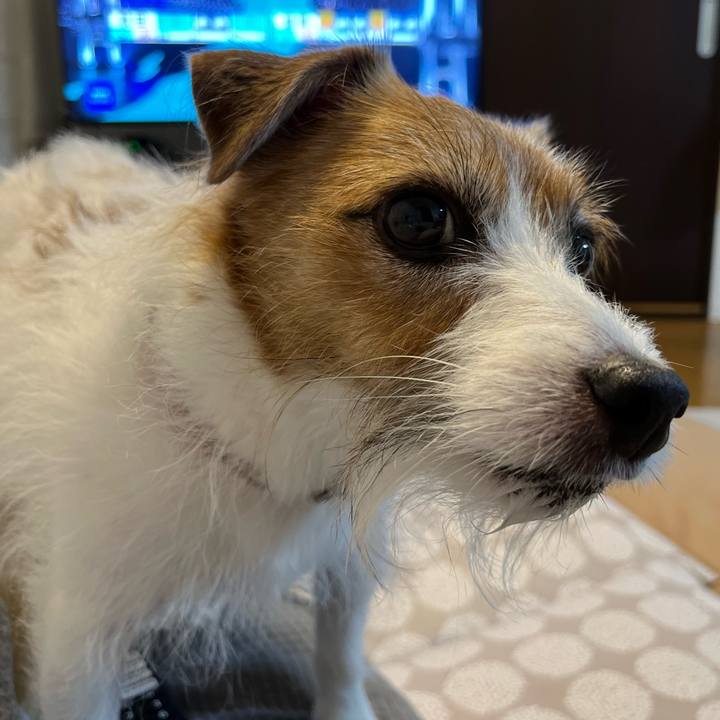 59cb207a 0d3a 4112 b680 1416dc8bec5d 1699612826556