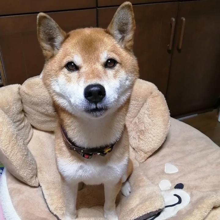 59cb37a0 4aef 4237 8742 a3d71d9b4aa4 1638522621426