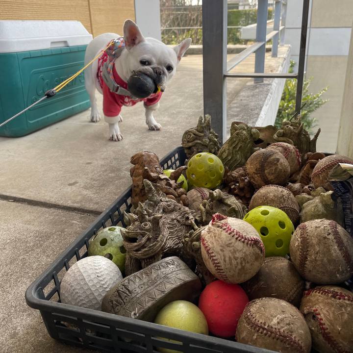 59cb4755 8c0d 405c bb6b 25519d9c3caa 1770255703978