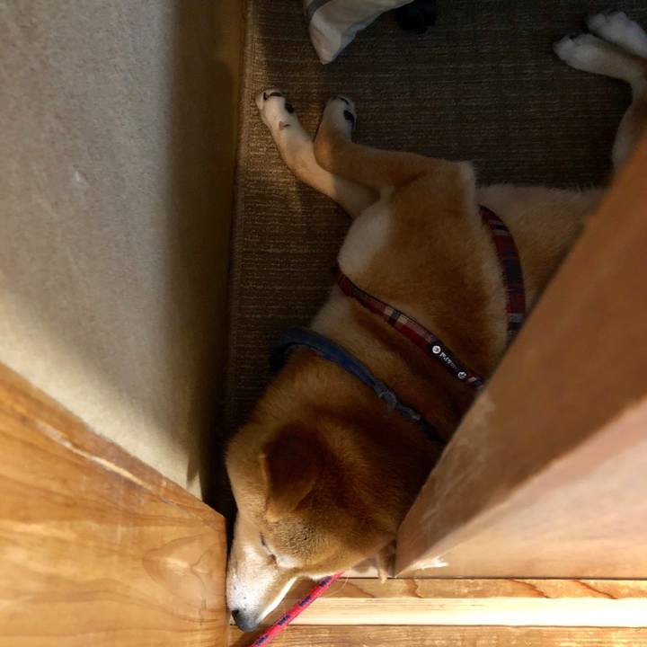 59cb9008 fd1d 46d5 aa86 00a323700144 1528364708214