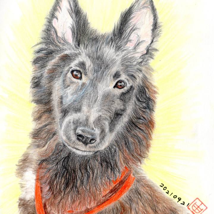 59cbe593 4da6 4490 a709 c29624bf77dc 1632231348652