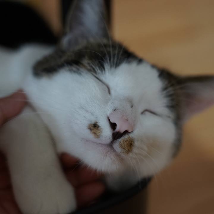 59cbfbd8 d930 4f62 8a20 38440db4f875 1531439511353