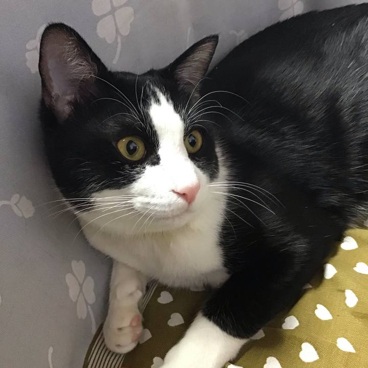 59cc031b 7e91 400b 8cbb 45dfaa3fc9bd 1648600502293