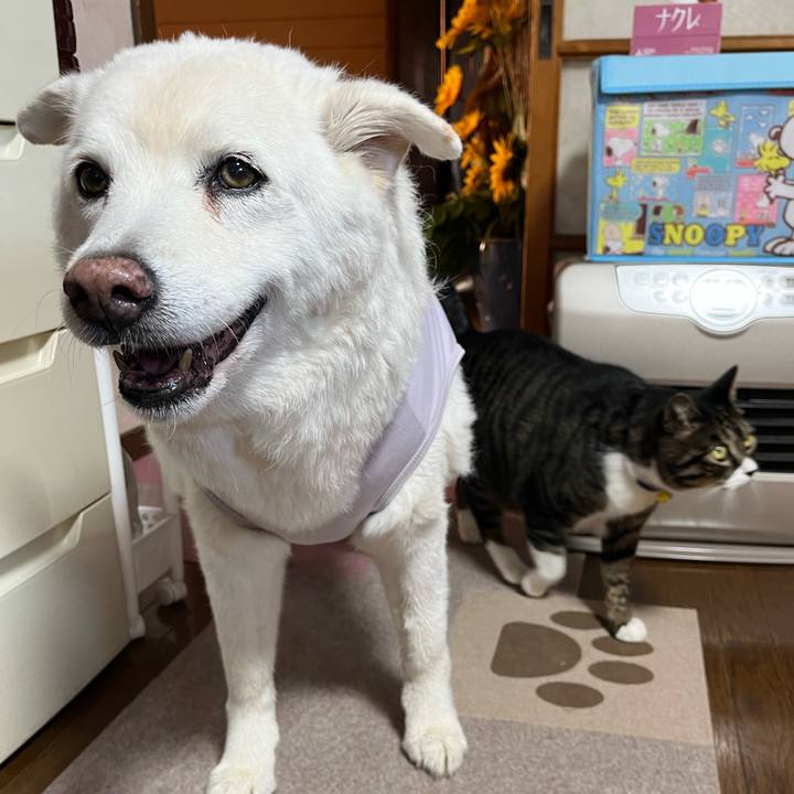 59cc0949 f62a 404a b5e1 232192f0f896 1761175370159