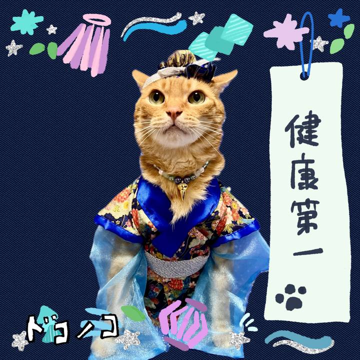 59cc1220 06ac 4fc4 985d b7e33cca5b07 1720793180906