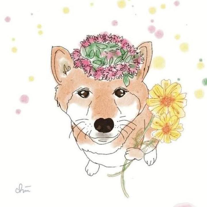 59cc17f1 31d3 4a2f b514 f27c65410106 1725840014216