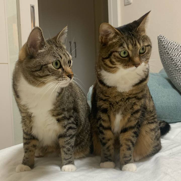 59cc210f a6bf 4a8d 9f53 3dd6fb4b2829 1639397868303