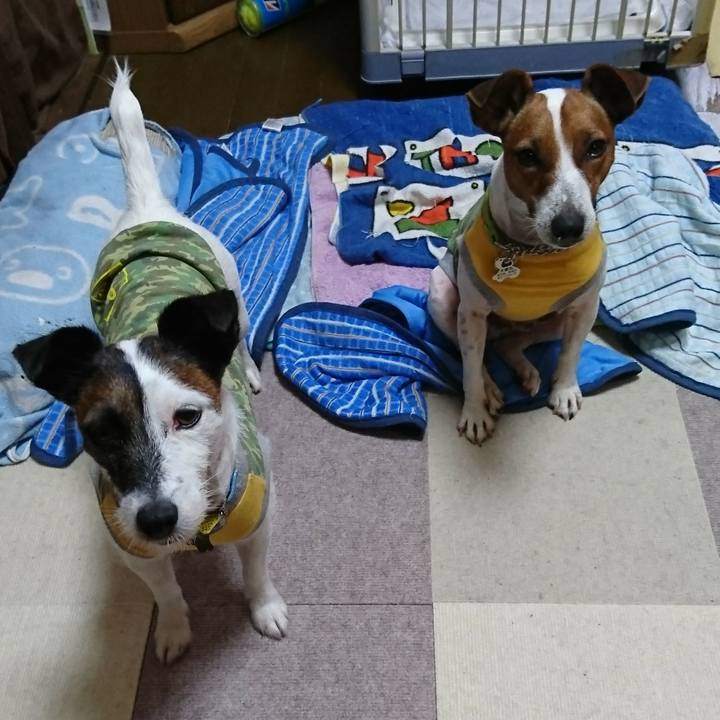 59cc2abe 1f97 4169 b960 3f46cfe77846 1569217922345