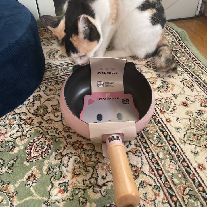 59ccd0b8 ccac 4663 9188 6a0bd05f8752 1714255192538