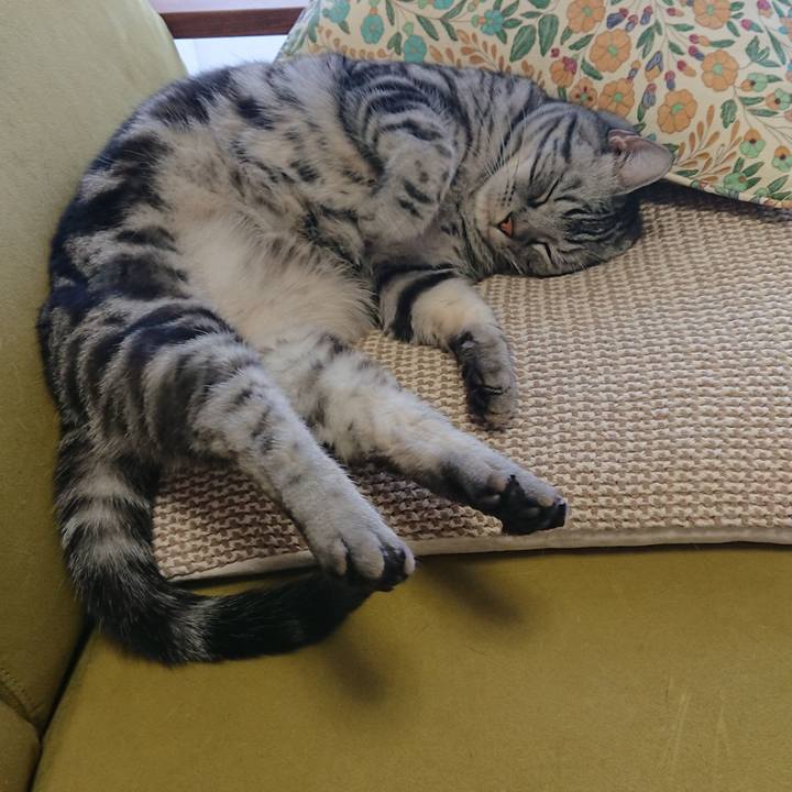 59ccd787 2c36 41bf 9f20 ea2472364c89 1586563243618