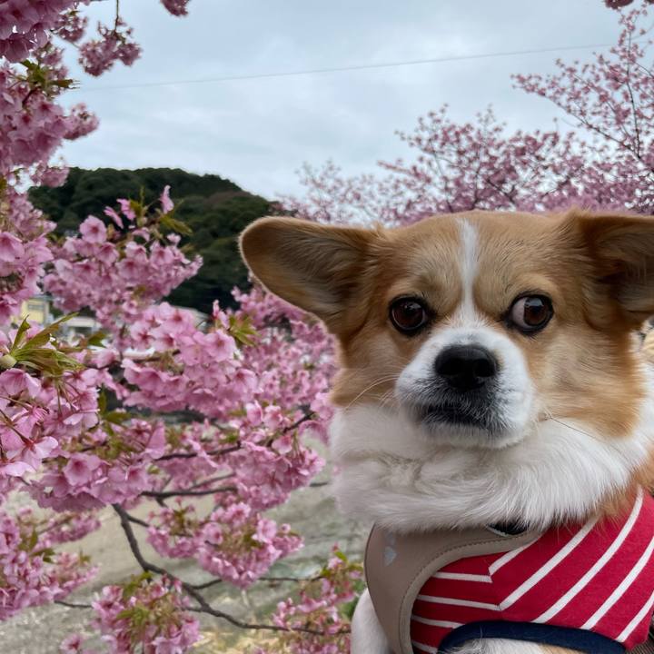 59ccee47 eb80 4aa1 a5d6 18fe2f76c96c 1677276909281