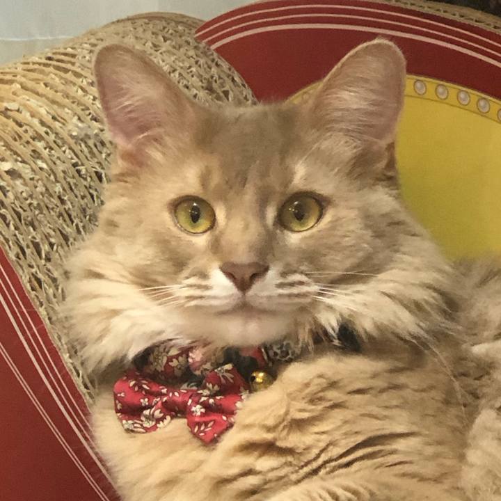 59cd2bd9 7473 446c b579 8b790322fbaa 1677905374540