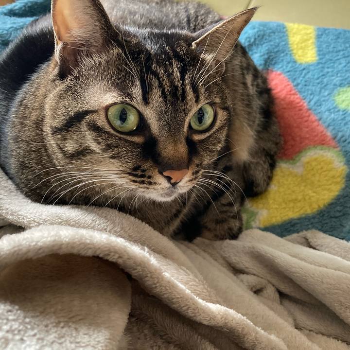 59cd4c7a 69c4 4e5d ae6e c1565c903126 1643502812970