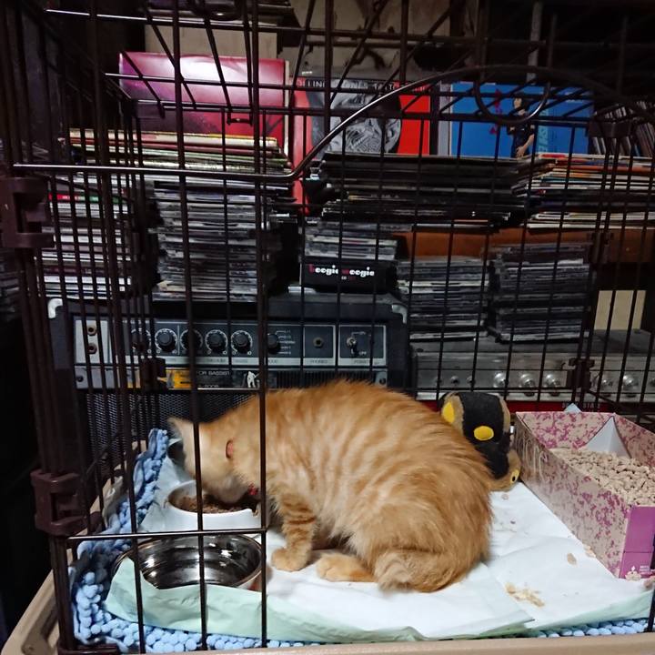 59cd9c27 0fd7 41c0 abc4 a550b87ca3a1 1628853598950