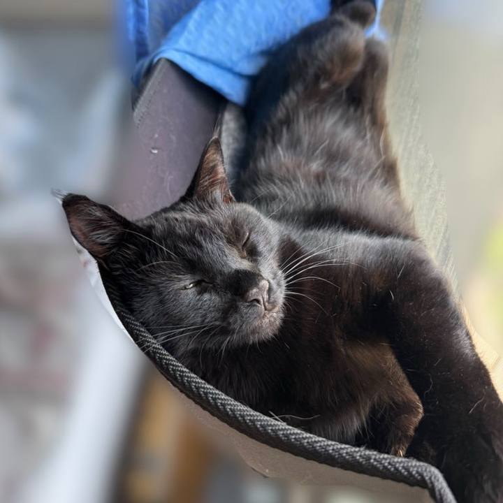 59cd9d6c 1efe 48a9 9285 a77ab8742a1d 1752410095022