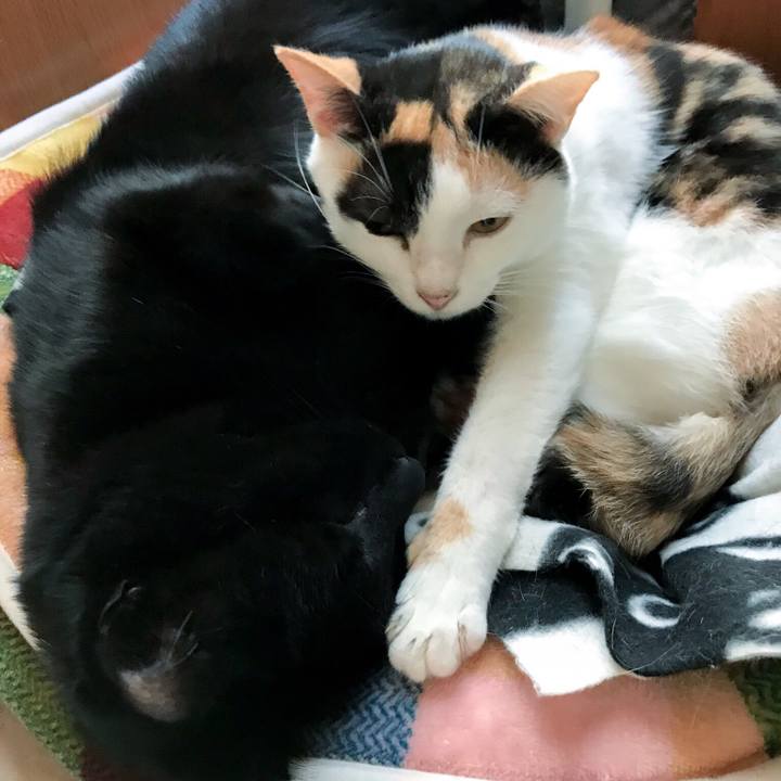 59cdec15 450f 4f6d 901b 5c2c57ed7340 1510624204523