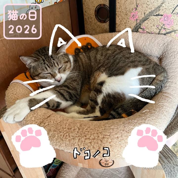 59ce1c4d 85ba 44ef a449 dcf4ed159e44 1771738029221