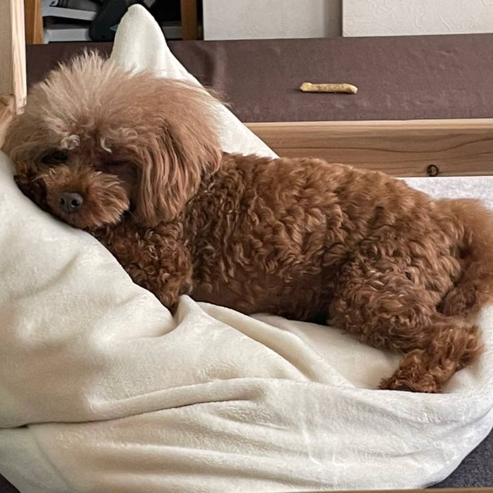 59ce2a4a d7c0 4ea5 9a32 9a032769e3e3 1647831459134