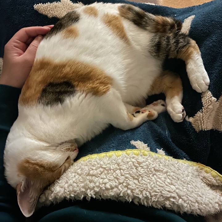 59ce32e2 d0fb 4214 b571 4a638f7ea603 1618663021037