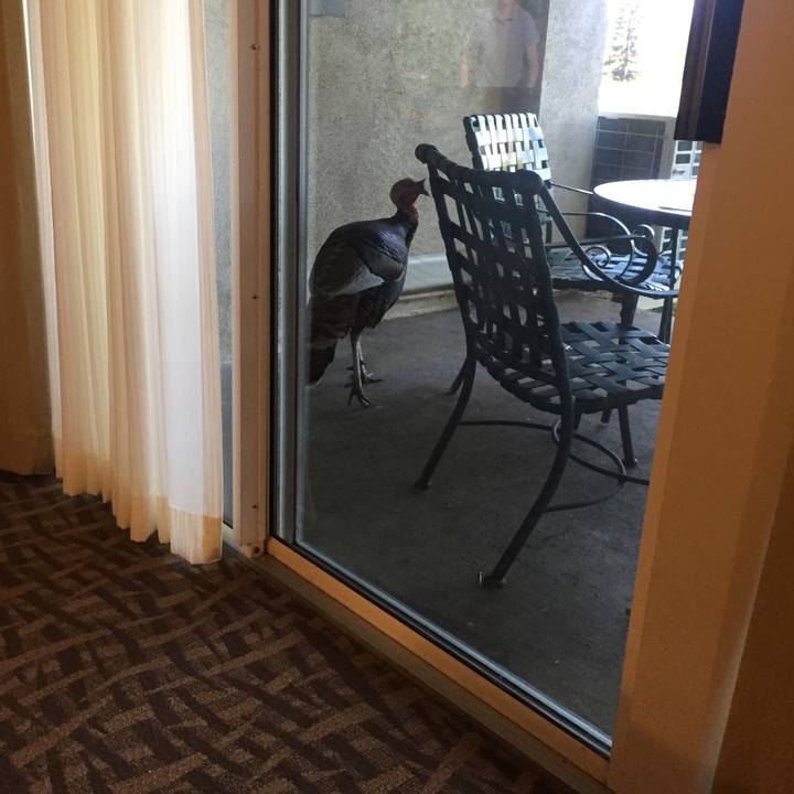 59cee459 adb8 4355 9aaf 14acfc260d94 1552193765552